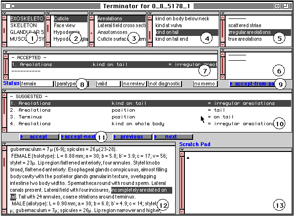 Fig 2 - The Terminator window: Alternative actions